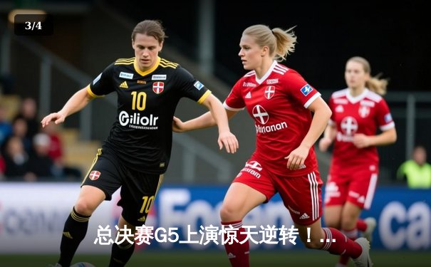 总决赛G5上演惊天逆转！掘金主场力克热火，约基奇40+三双率队夺赛点 - 3